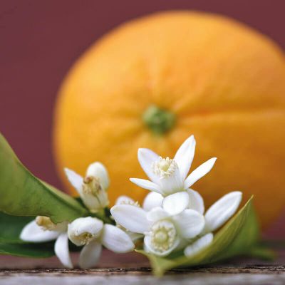Wellness und Spa Hohe Wacht, im Vordergrund Blüte mit Blättern, im Hintergrund Orange