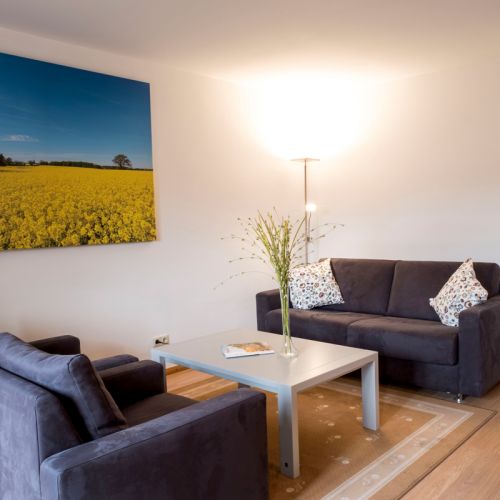 1-Zimmer-Ferienwohnung Sitzecke, zwei Sessel, Tisch, Sofa, auf dem Tisch Vase, an der Wand Leinwand mit Rapsmotiv