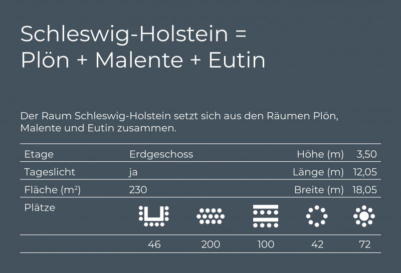 Übersicht Tagungsraum Schleswig-Holstein, Etage, Tageslicht, Fläche, Bestuhlung